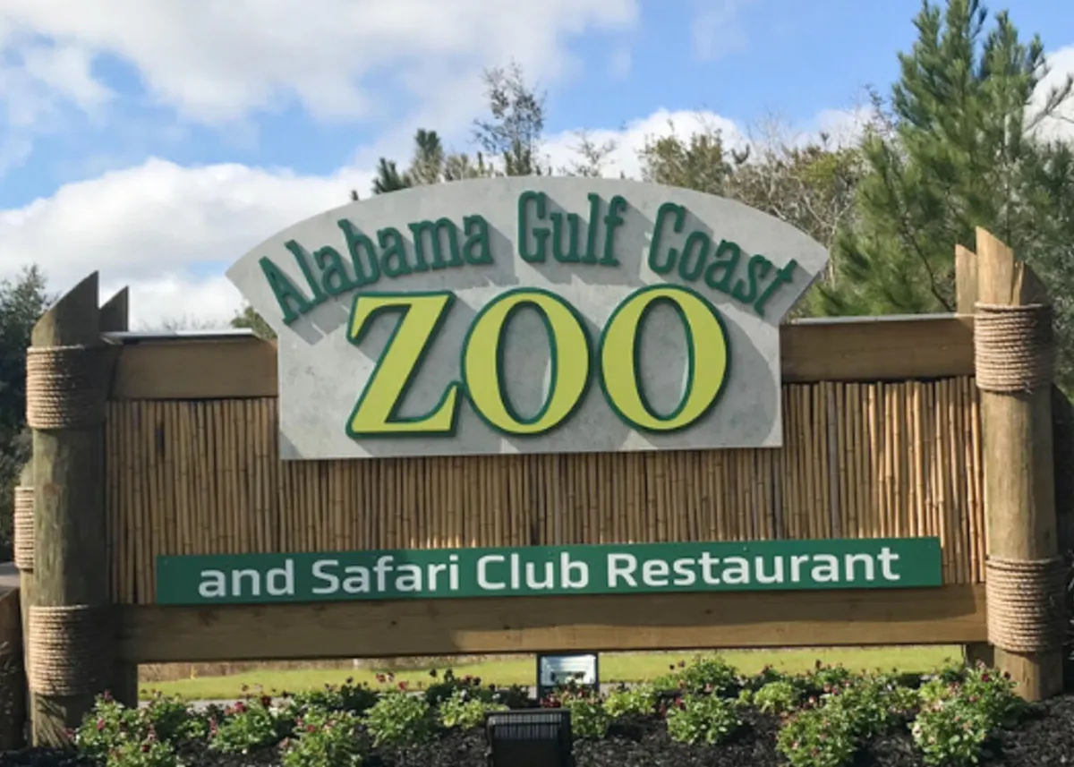 The welcoming entrance sign for Alabama Gulf Coast Zoo stands amid decorative wooden posts and colorful flowers, with the adjacent Safari Club Restaurant sign visible. The setting feels inviting and adventurous, perfect for families.